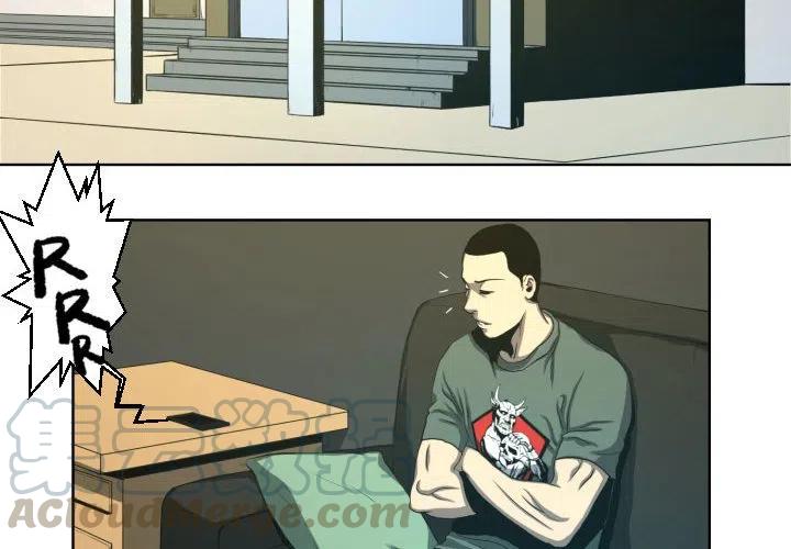 虚拟格斗家是什么意思漫画,234图