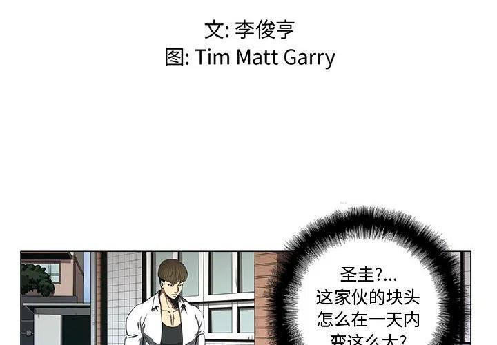 虚拟格斗类小说漫画,342图