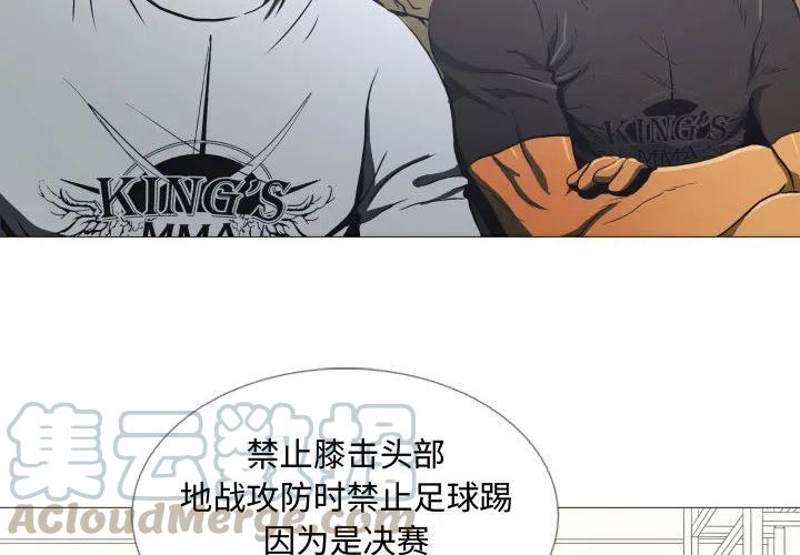 虚拟格斗类小说漫画,64图