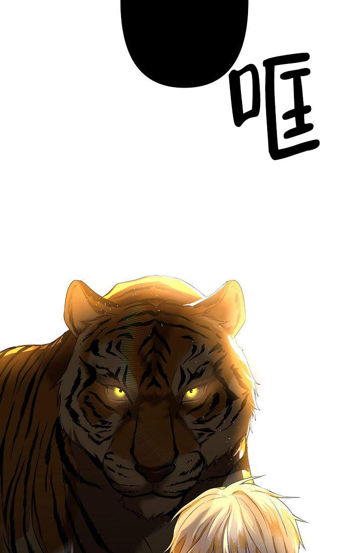 老虎画画漫画,第3话5图