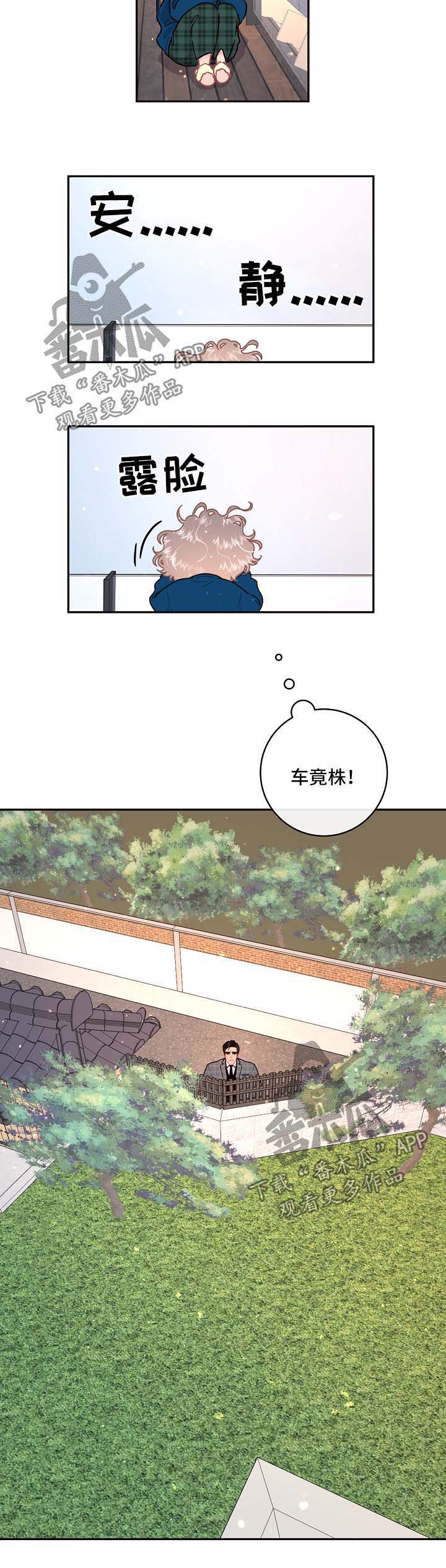 绳编手链打结收尾漫画,第88章：【第三季】鹊桥相会5图