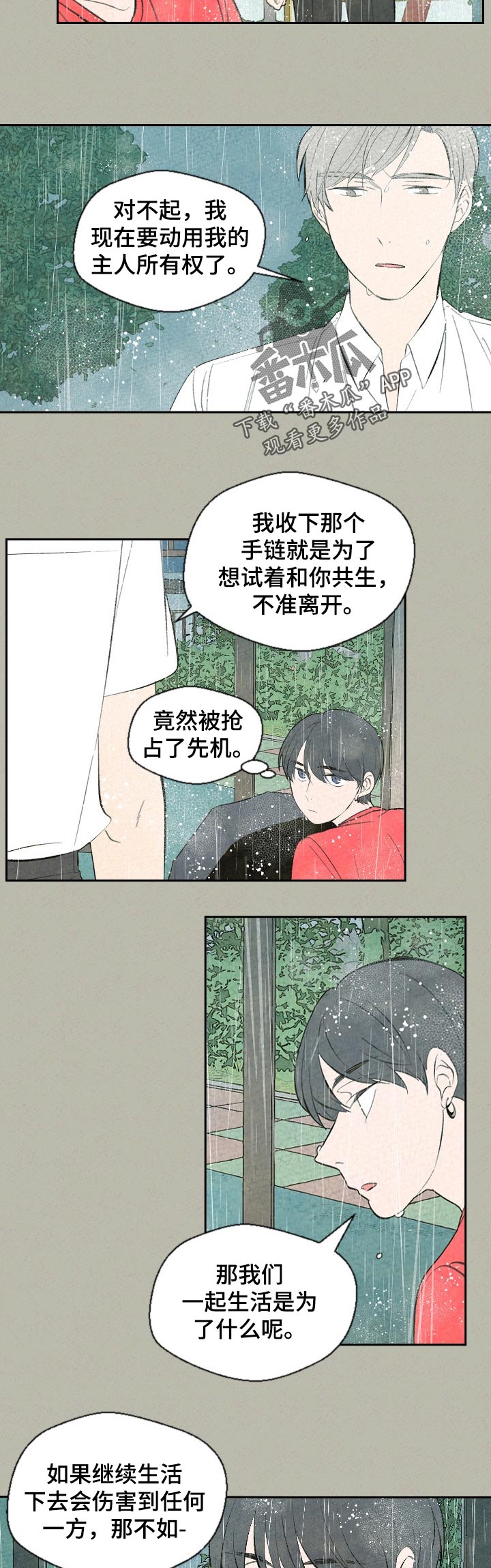 伴生灵物是哪四样东西漫画,第55章：回家吧3图
