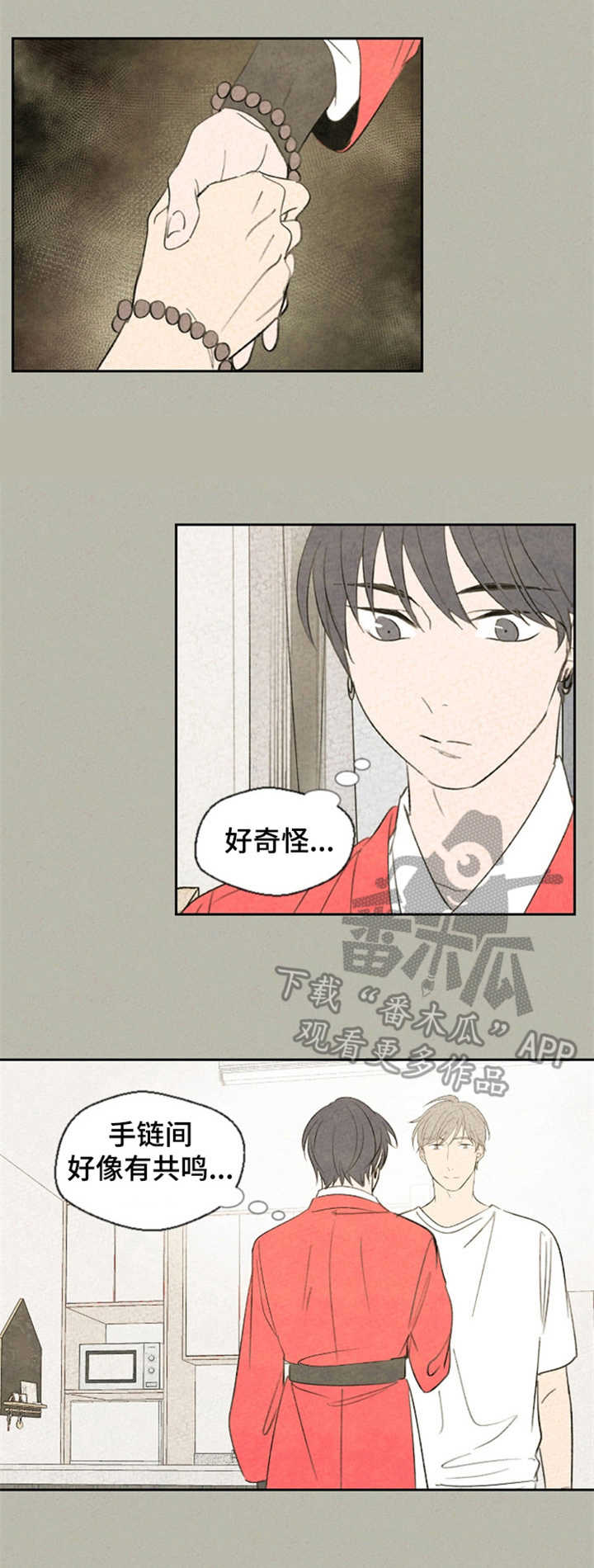 伴生灵草完美世界漫画,第33章：手链4图