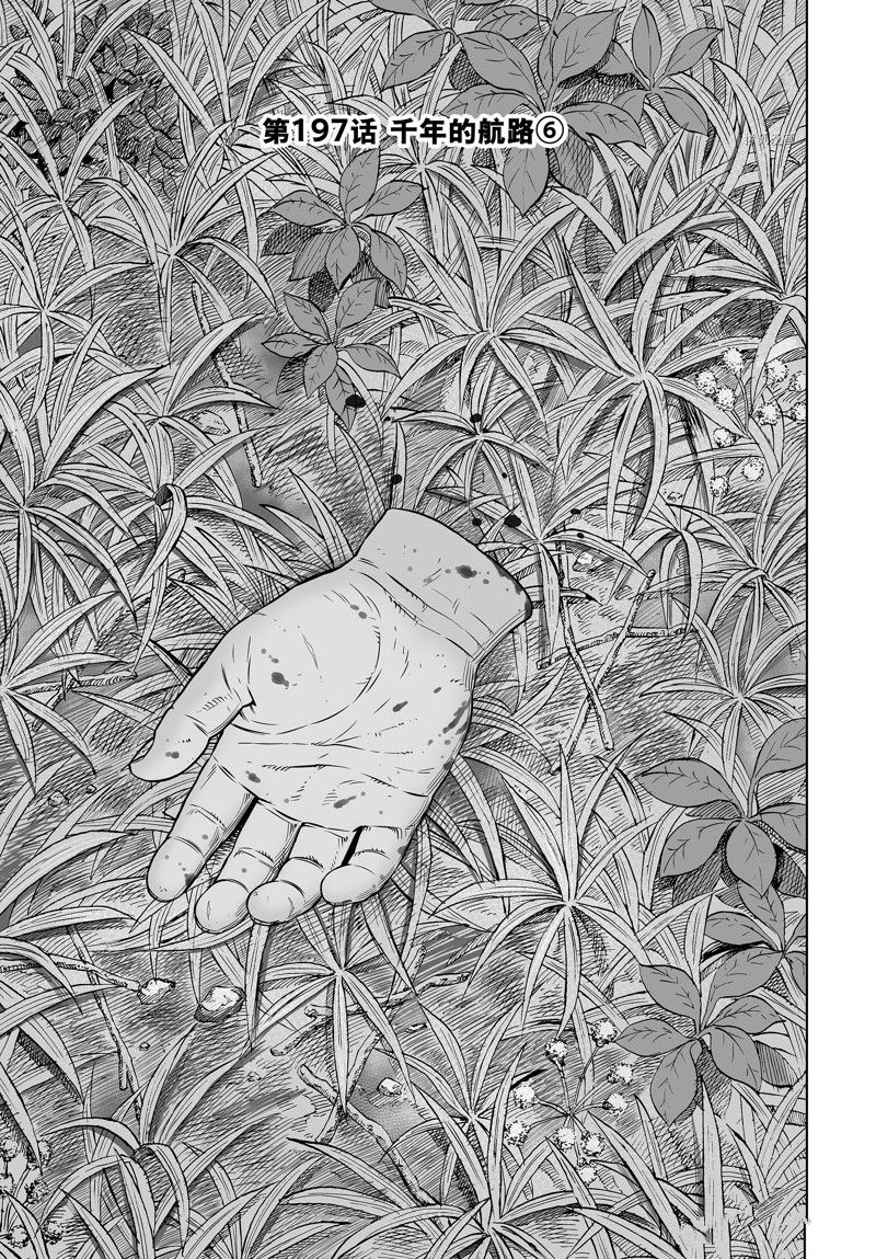 海盗战记第一季在线观看无删减有字幕漫画,第197话 试看版1图
