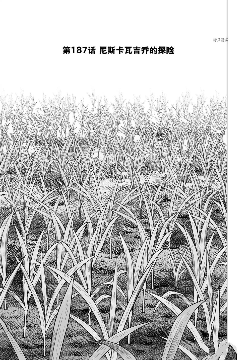 海盗战记人物漫画,第187话 尼斯卡瓦吉乔的探险1图