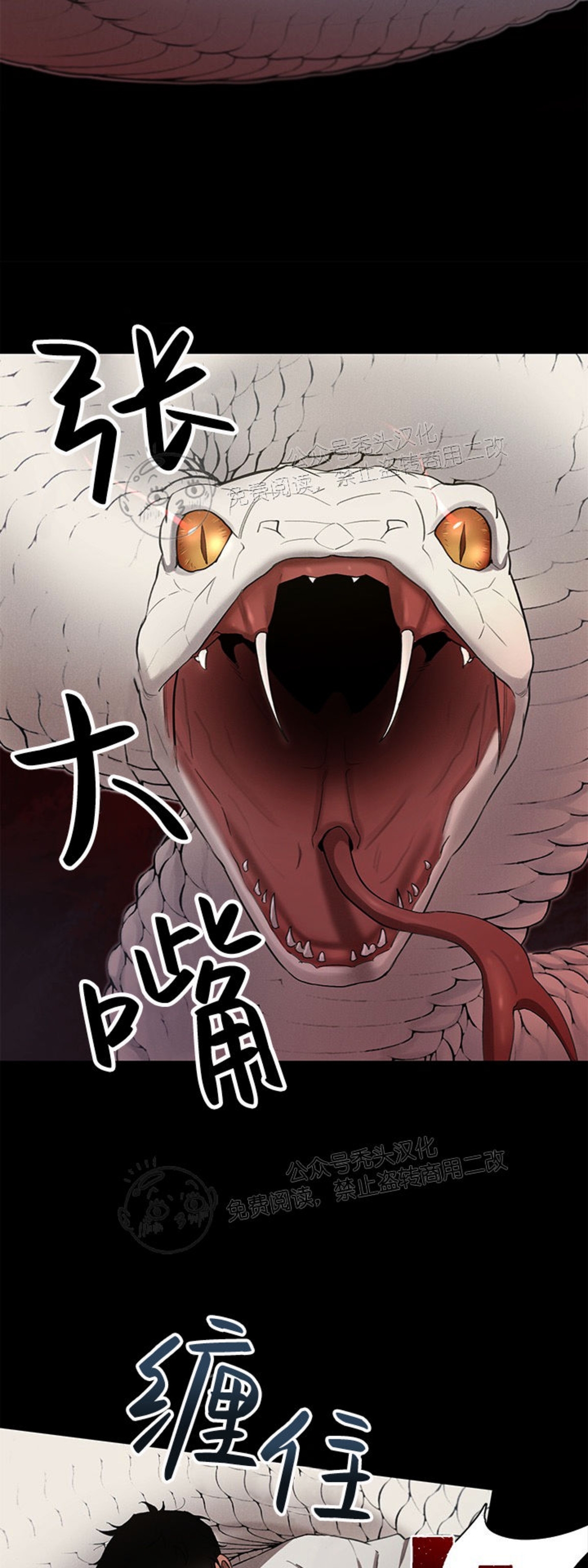 plaything成为某大公阁下的玩物漫画结局漫画,第14话5图