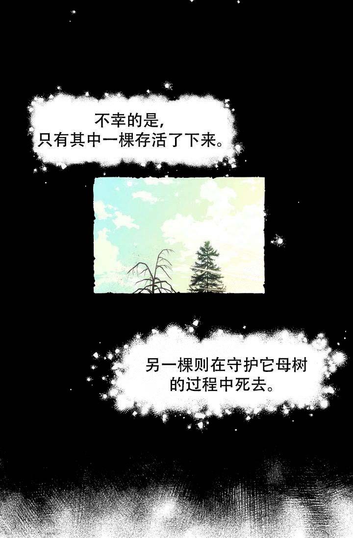 奋不顾身爱上你第二部漫画,第1话3图