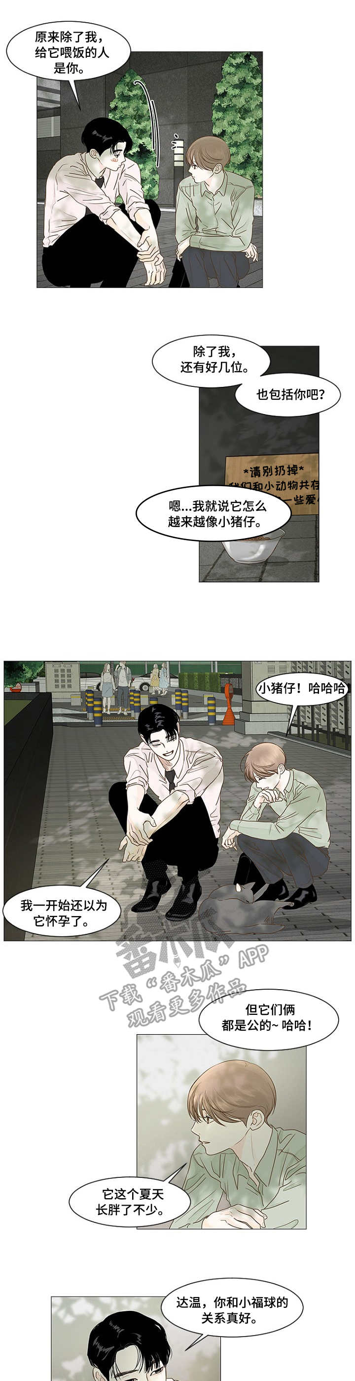 第29章：小福球3