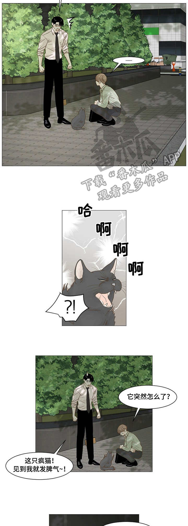 第29章：小福球1