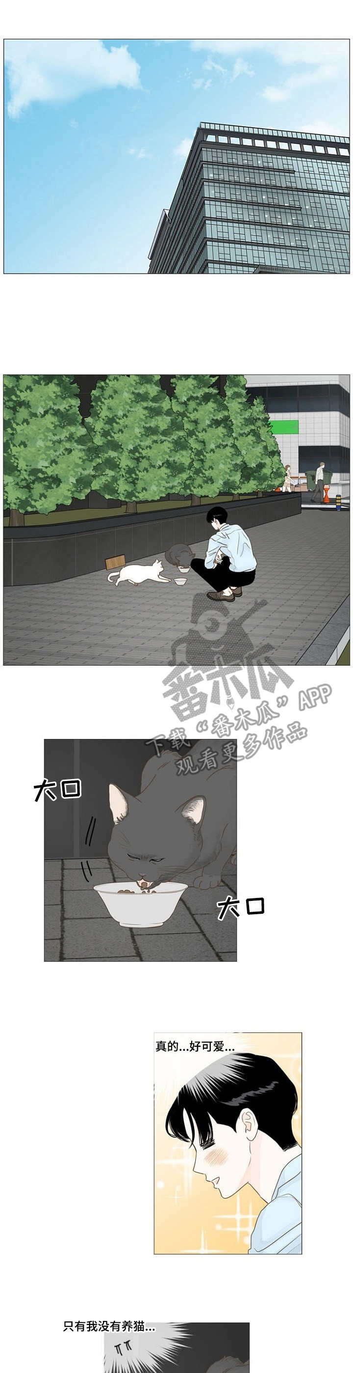 秘密之盒攻略漫画,第16章：喂猫4图