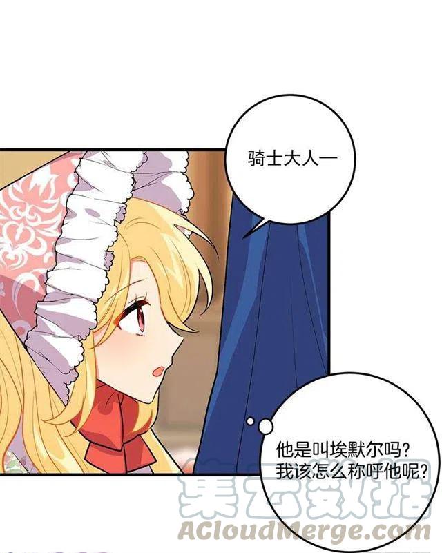 贴身骑士埃默尔3