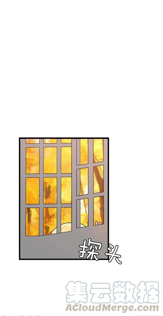 57.白城堡4