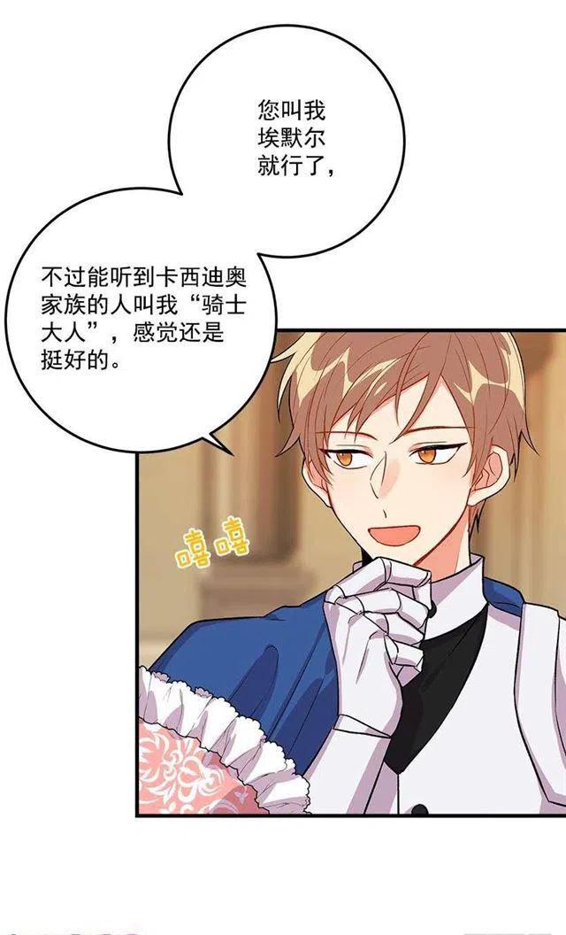 贴身骑士埃默尔4