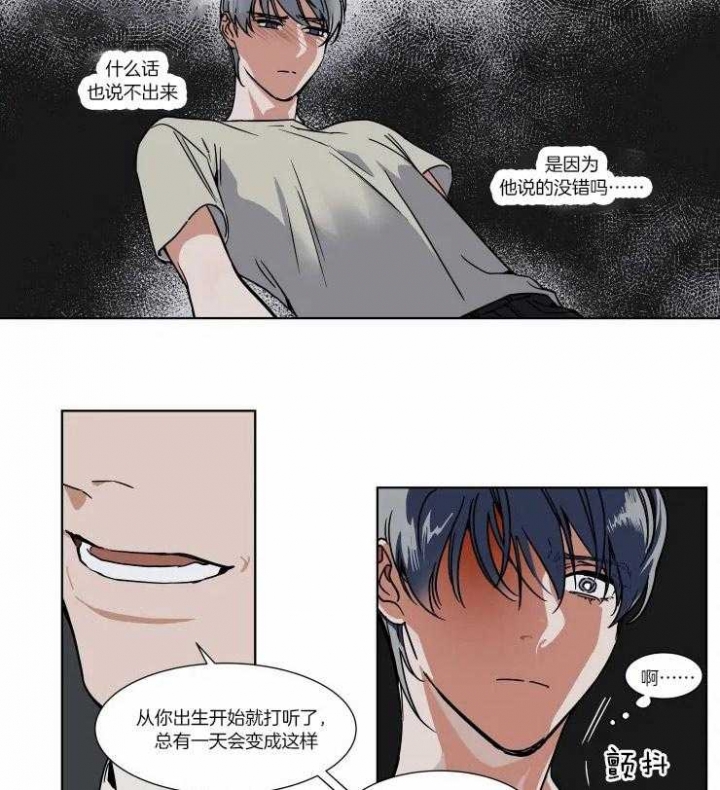 私人绯闻漫画,第81话3图