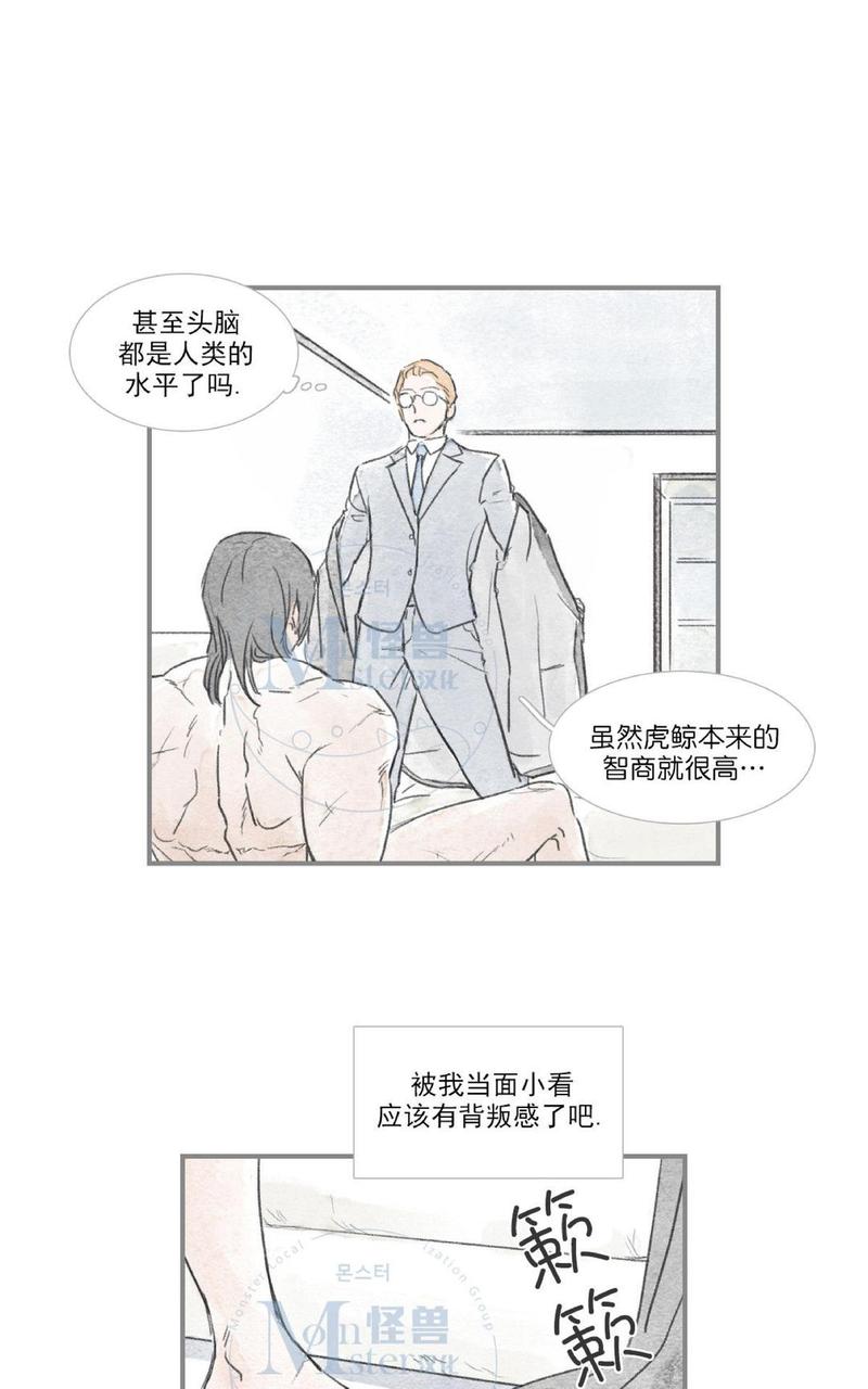 海豚精灵漫画,第40话4图