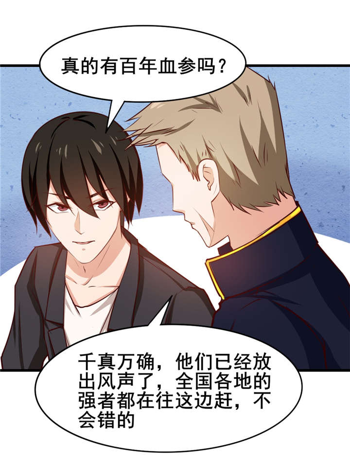 第114章：拍卖会在即1