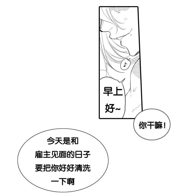 撒哈拉沙漠的简介漫画,第4话3图