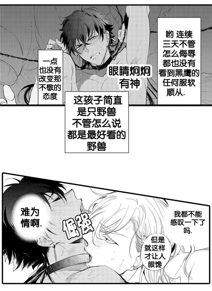 撒哈拉沙漠的风漫画,第6话2图