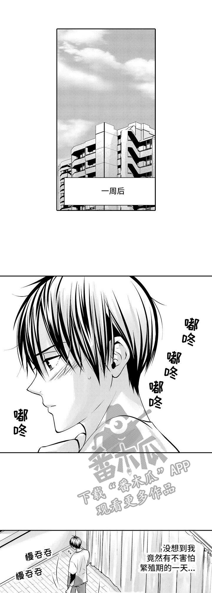 第12章：期待3