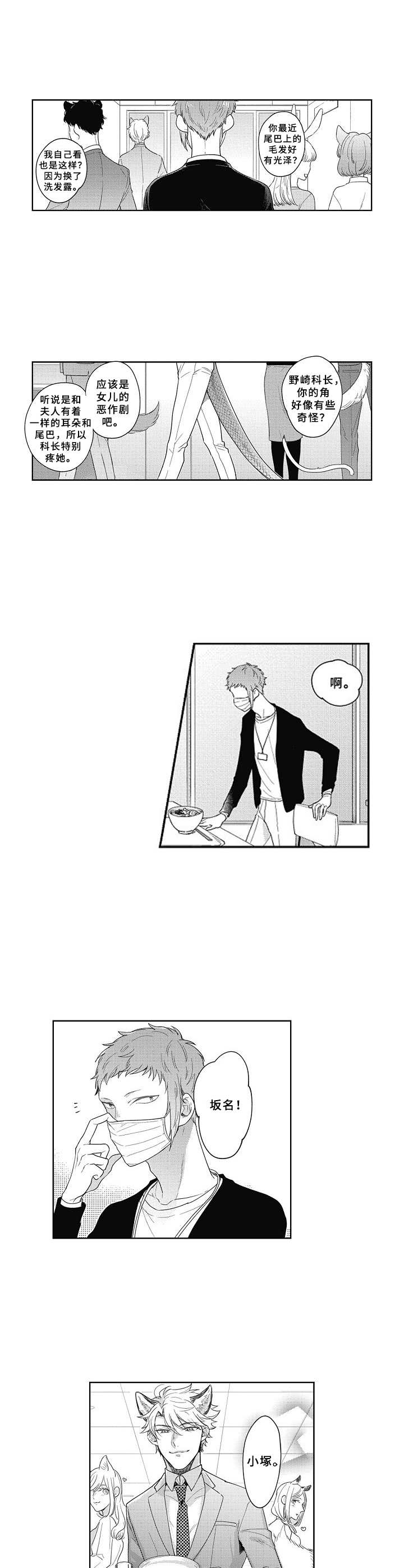 幼鸟吃掉蜥蜴漫画,第1章：毛茸茸1图