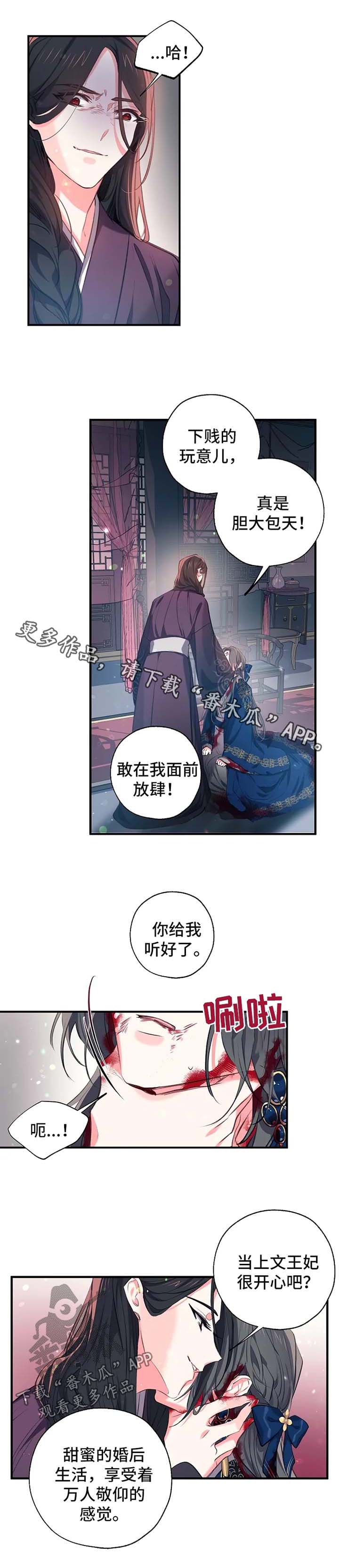 第49章：王妃之死0