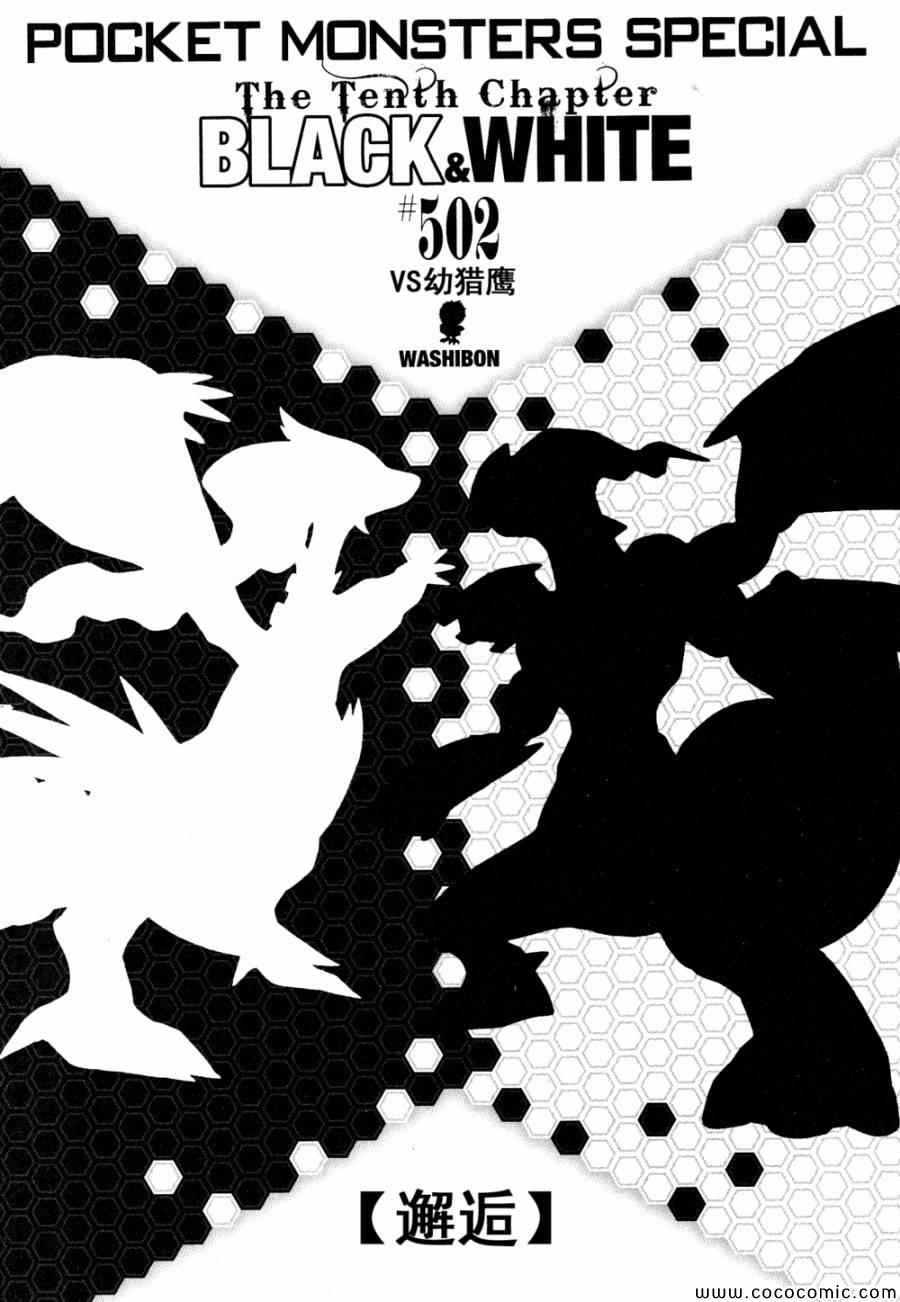 神奇宝贝特别篇在线漫画,第502话VS幼猎鹰1图