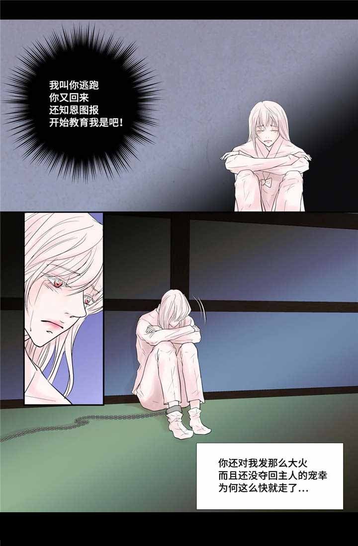 人形图漫画,第37话4图