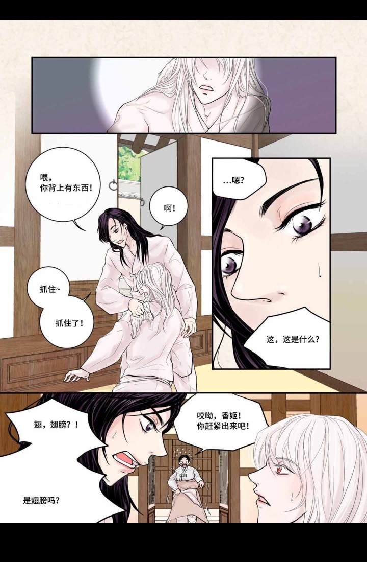 人形图护理查房图片最新漫画,第6话4图