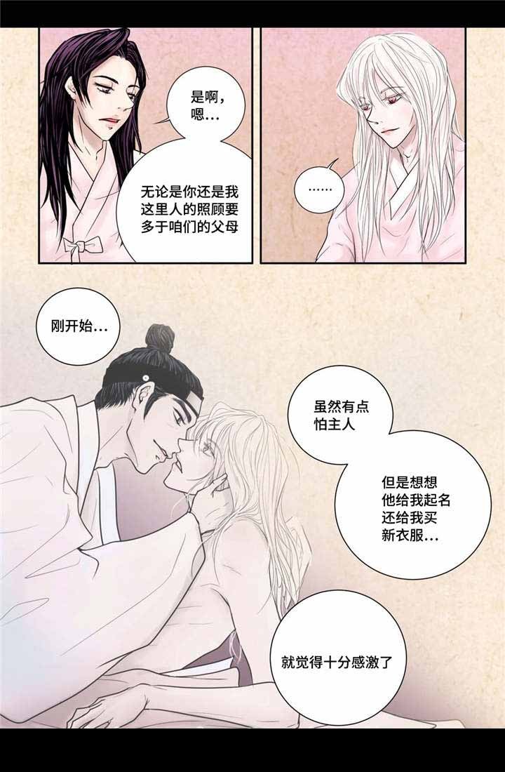 人形图护理查房图片最新漫画,第12话5图