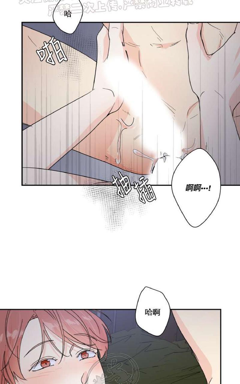 窗外的窗漫画,中秋特别篇34图