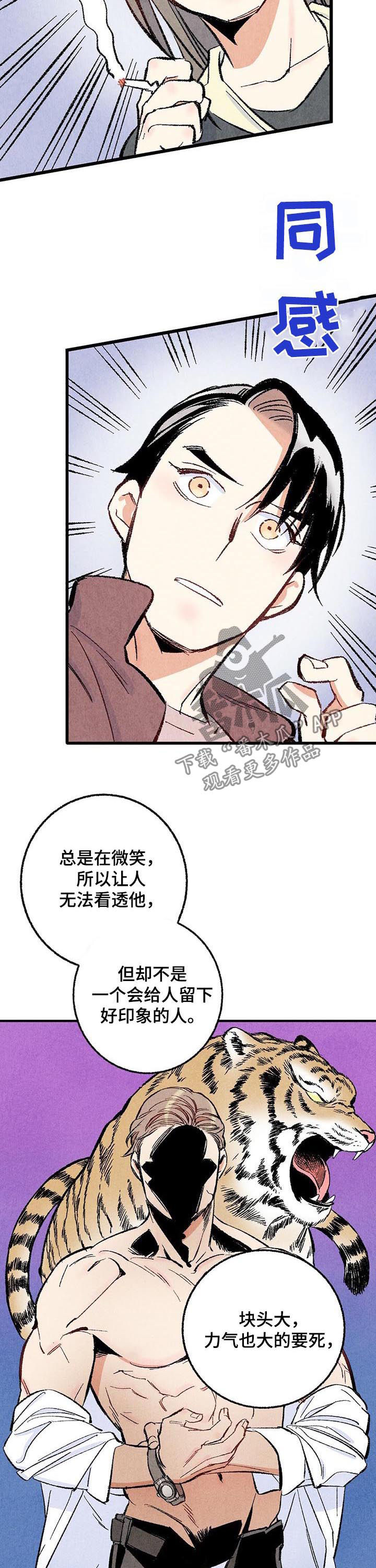 完美伴侣漫画,第39章：容易让人误会3图