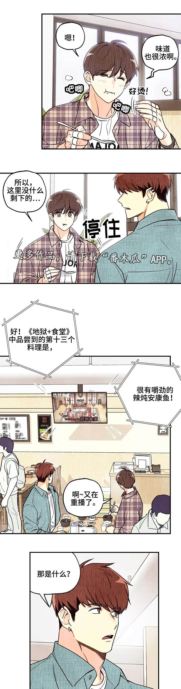 第13章：美食节目1