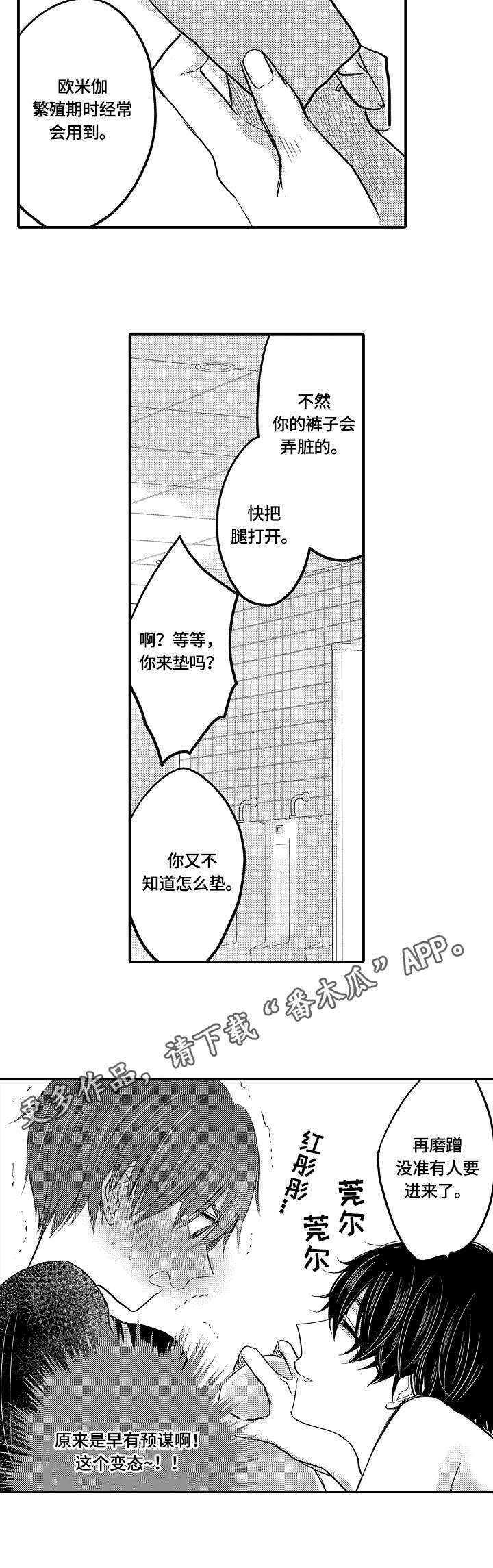第11章：预谋4