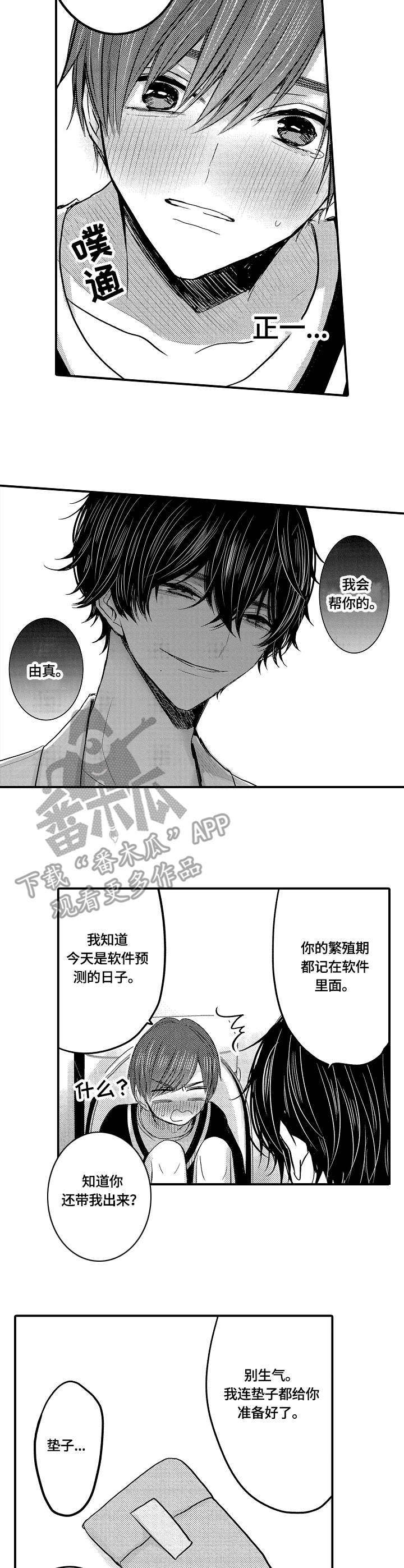 第11章：预谋3