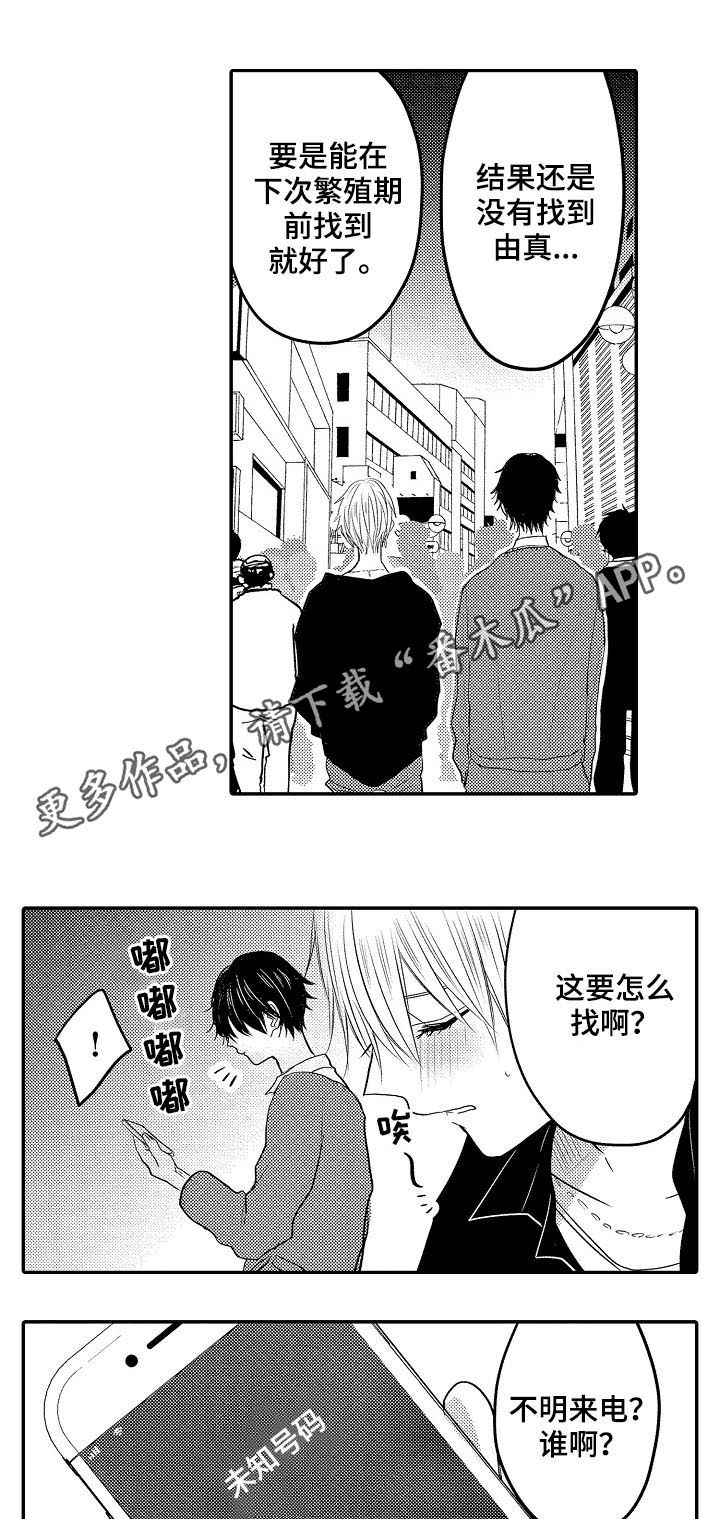 第29章：行踪0