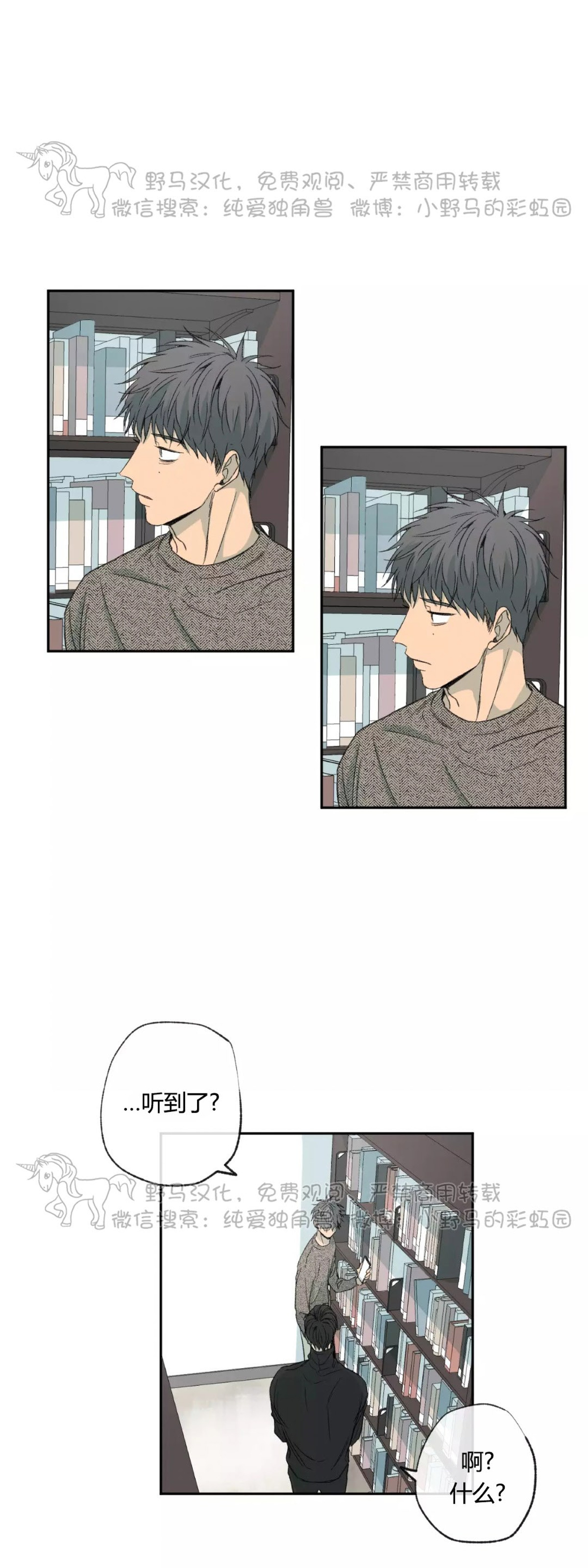 同情的形态漫画,第40话1图