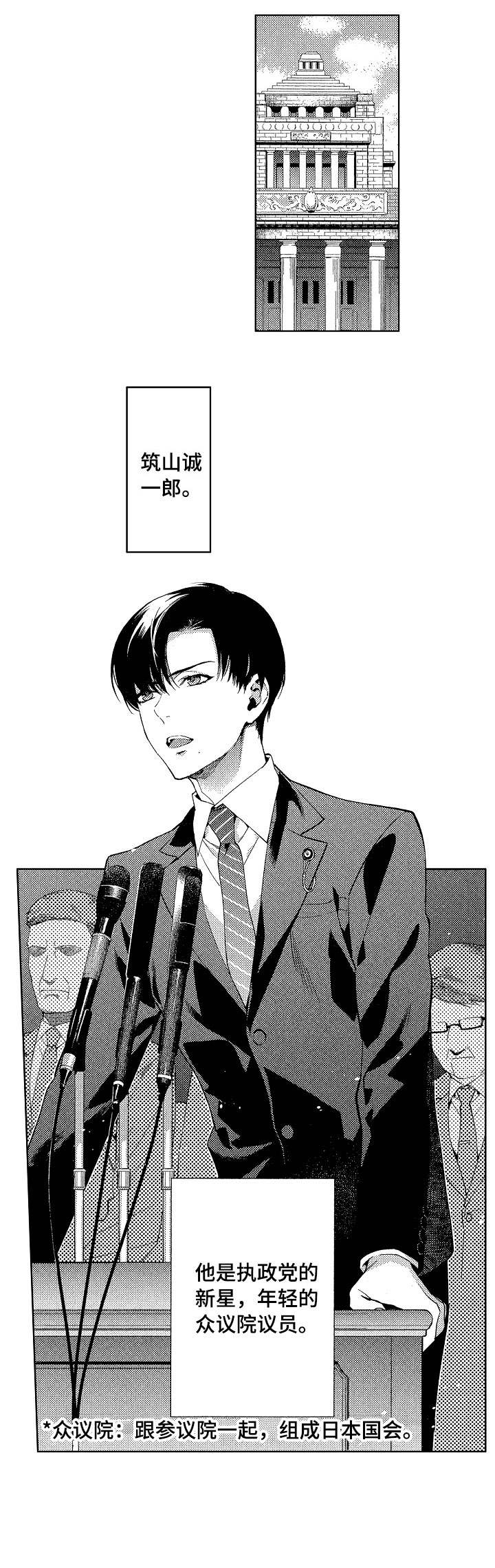 秘密以色列电影下载漫画,第1章：议员1图