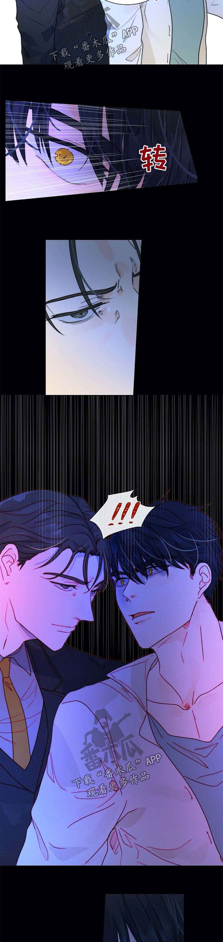 目标捕捉追踪是什么意思漫画,第56章：一辈子保护你2图