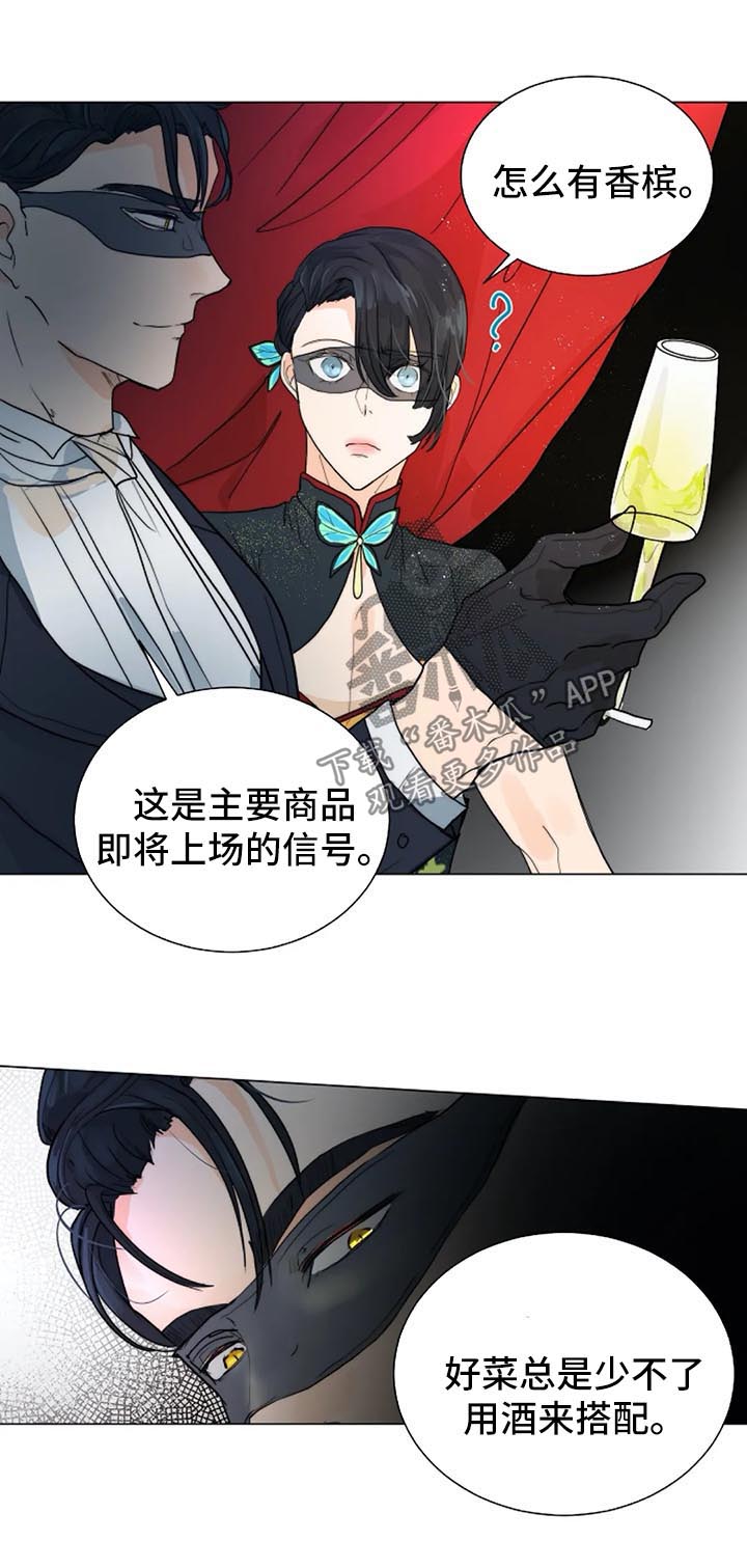 兰陵王狩猎目标漫画,第35章：黑暗拍卖会5图