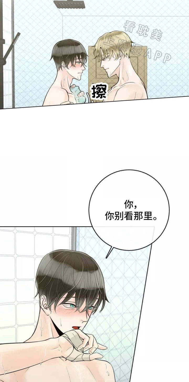 阿尔法板换蒸发器视频漫画,第47话4图