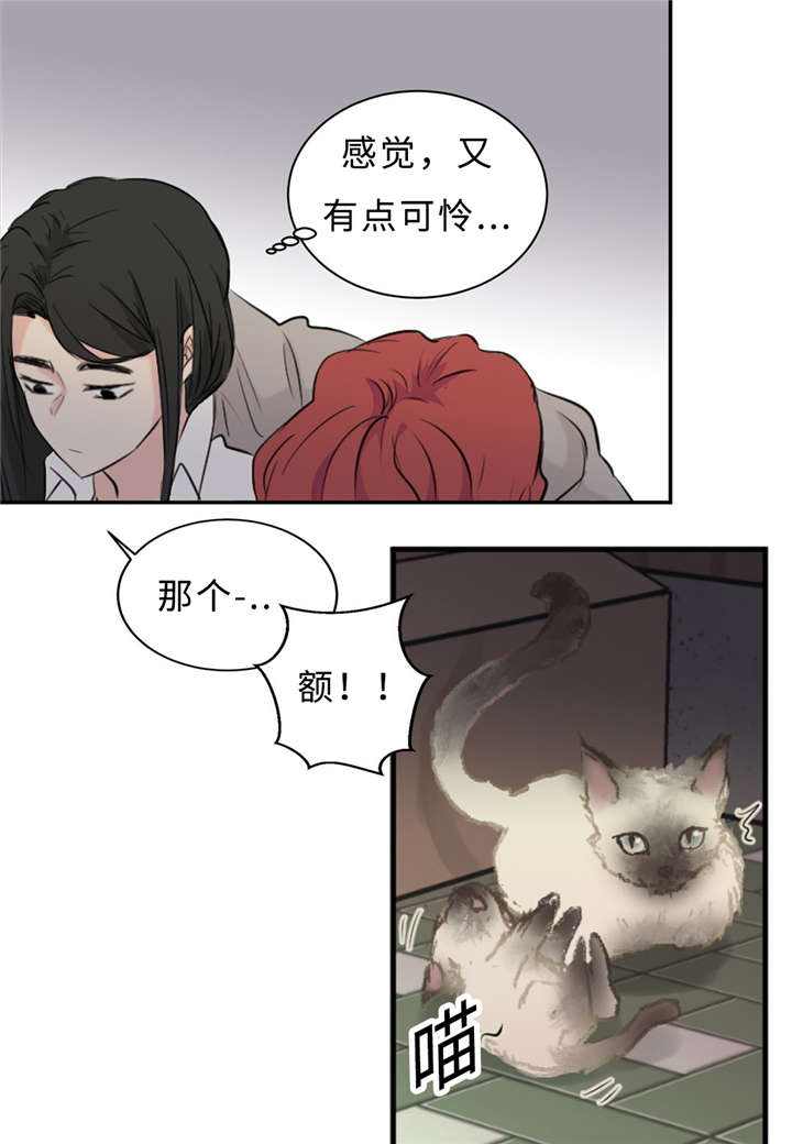 相似形经典题目漫画,第30话1图