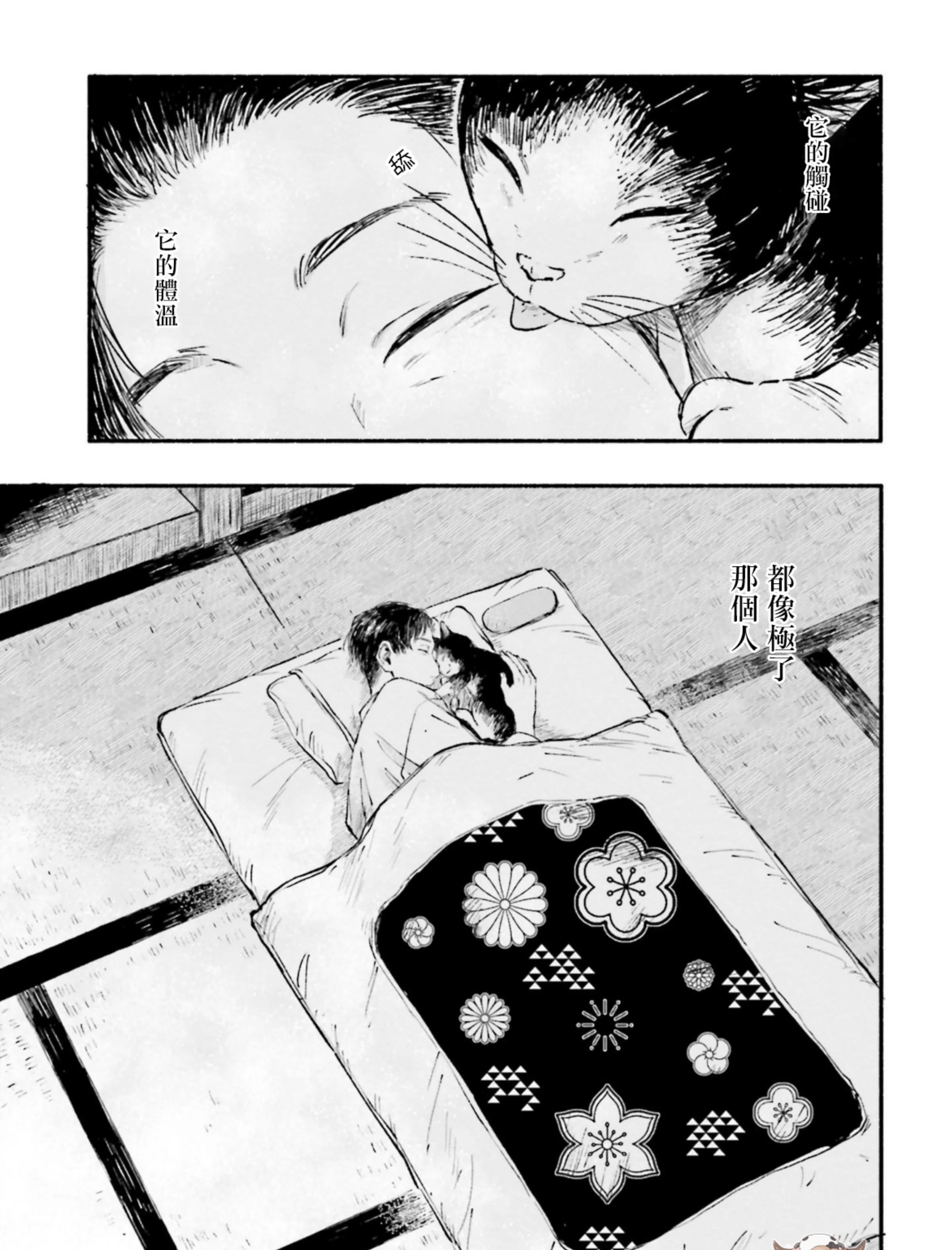 我与猫的二三事漫画,番外5图