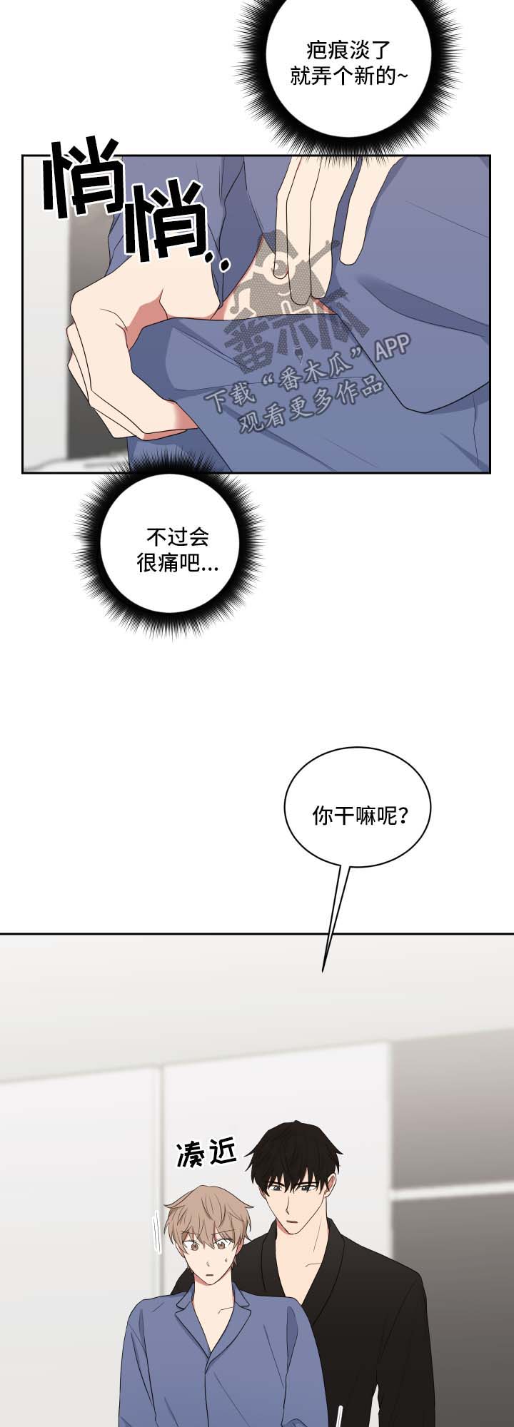 第41章：现在要看2