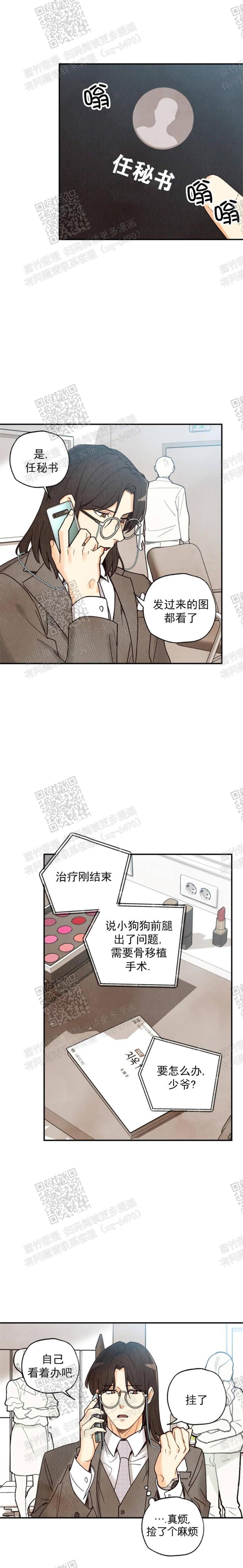 偏偏喜欢你电影免费观看金晨漫画,第103话3图