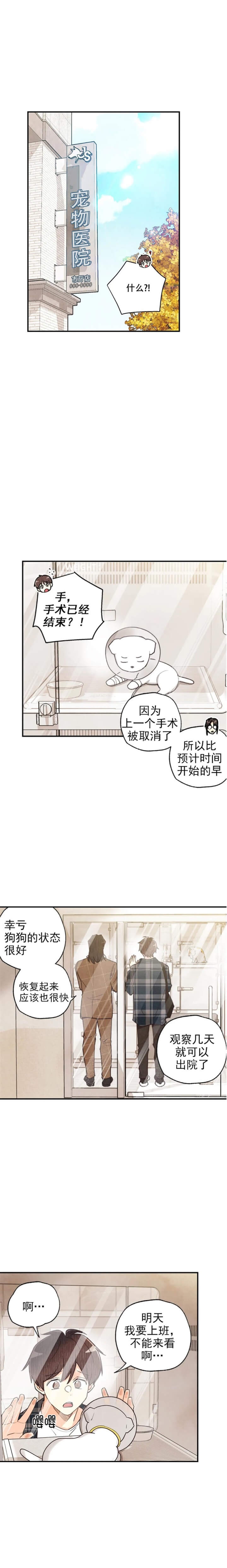 偏偏漫画,第122话5图