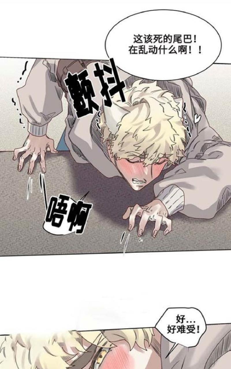 第10话4