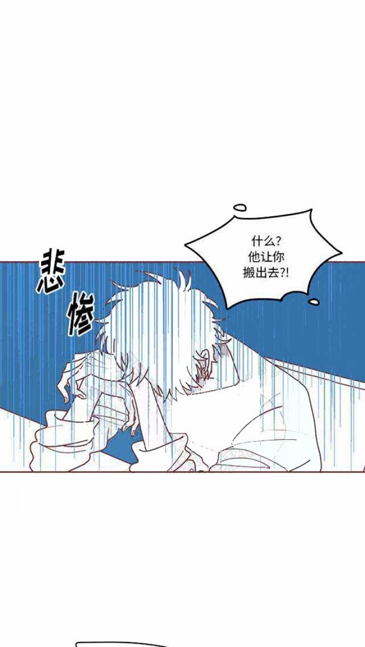 恋上你的花容漫画,第17话1图