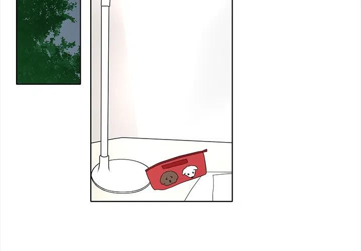 花园鱼缸制作过程漫画,942图