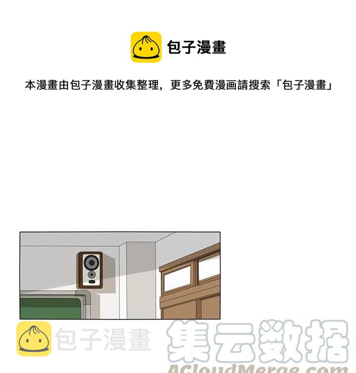 花园鱼缸制作过程漫画,261图
