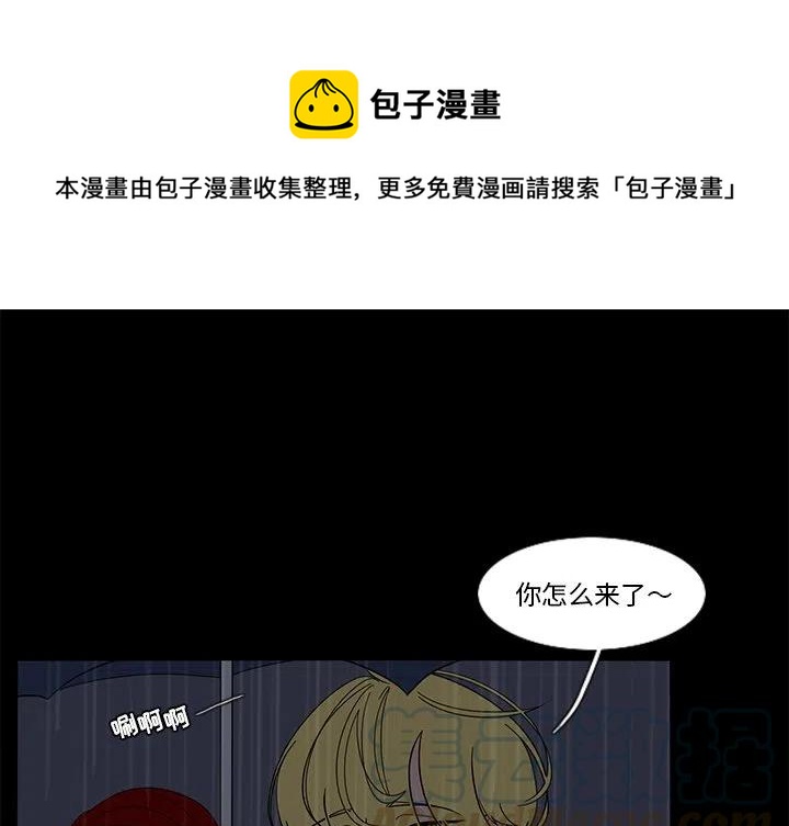 花园鱼缸制作过程漫画,631图